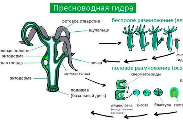 Kraken даркнет площадка