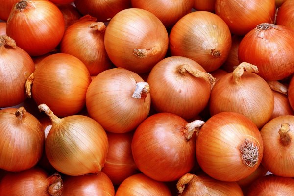 Ссылка на сайт mega onion