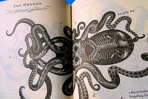 Рабочие ссылки на kraken kraken6.at kraken7.at kraken8.at