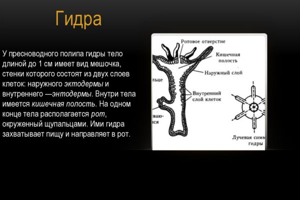 Кто основал мегу